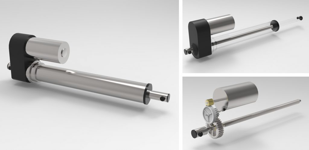 ֱ���������